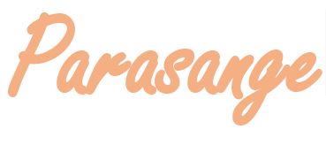 پارازانژ اولین تولید كننده ربات حمل بار TGV,AGV,AMR,AIV