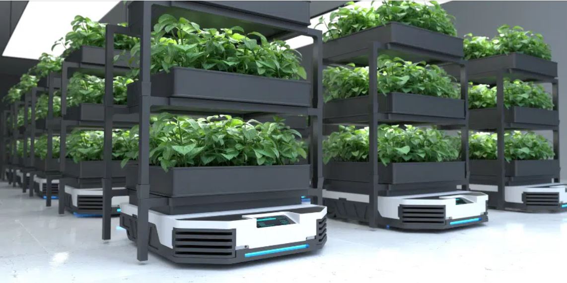 ربات حمل بار-رباتهاي AGV در گلخانه ها